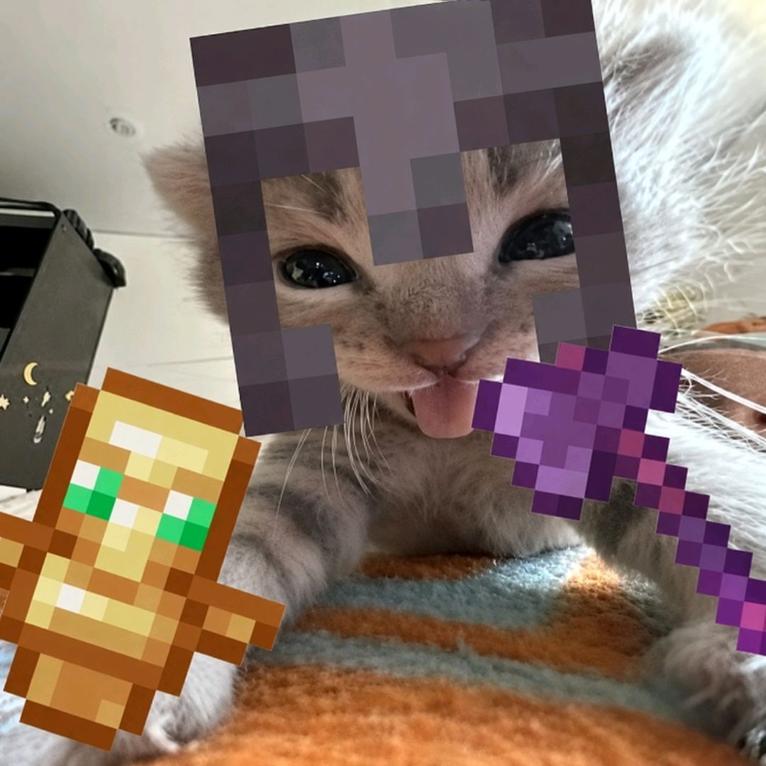 MasterBlox